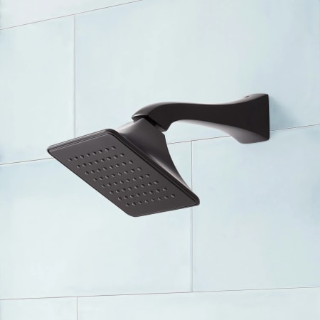 Signature Hardware Vilamonte 1.8 GPM Dual Single Function Shower Head with Shower Arm Matte Black